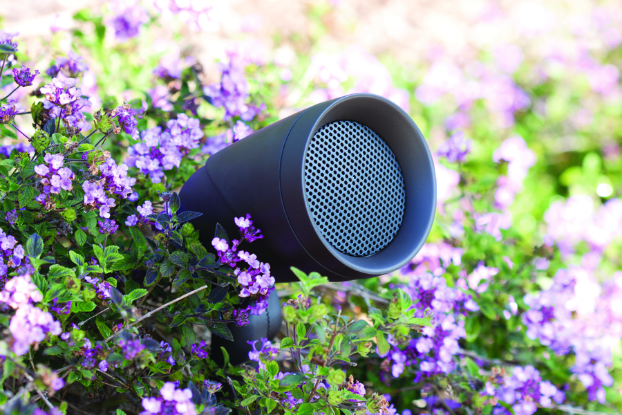 Close-up picture of an outdoor speaker nestled in a garden among flowering shrubs.