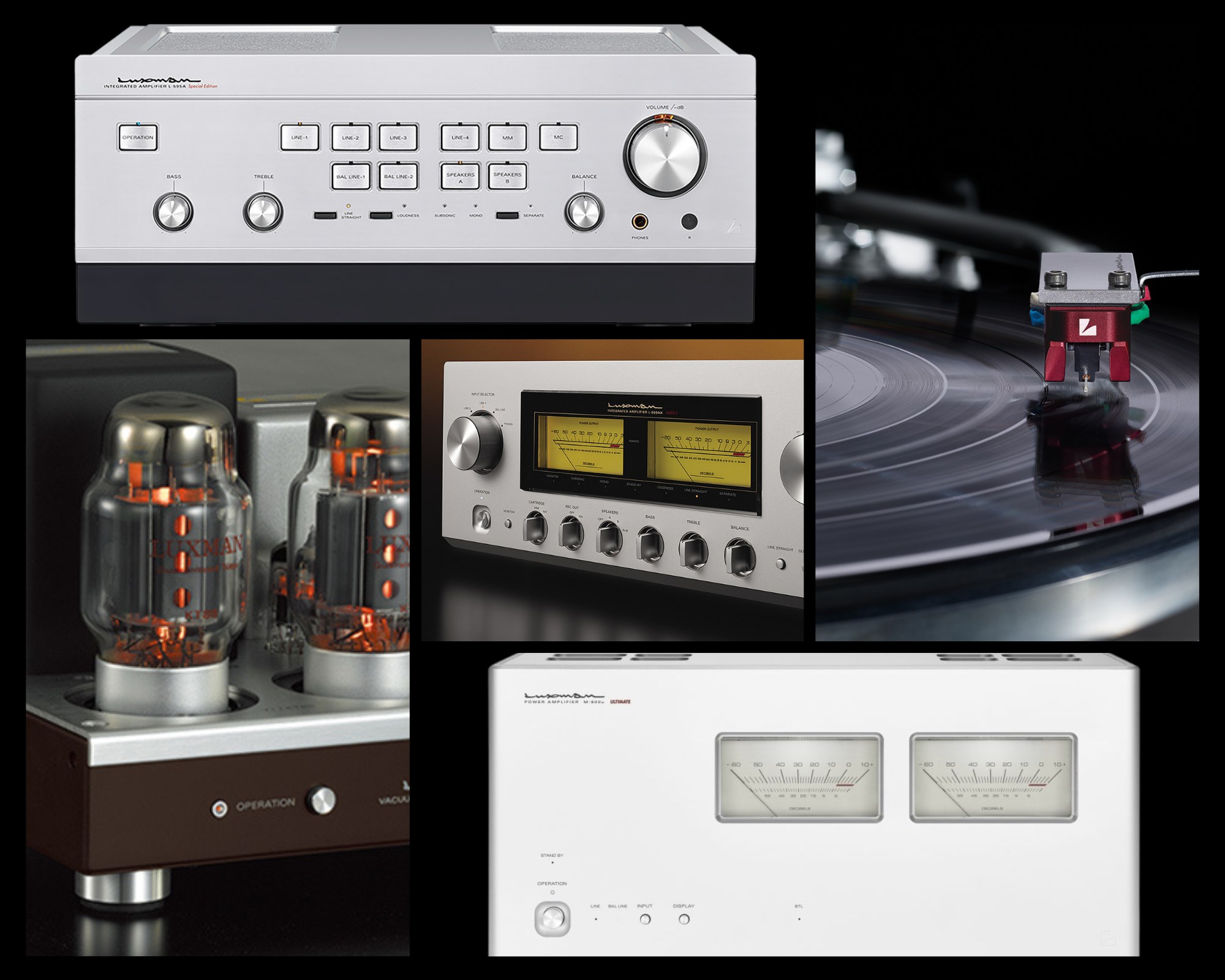 Hippo's LUXMAN IS HERE Hippo's