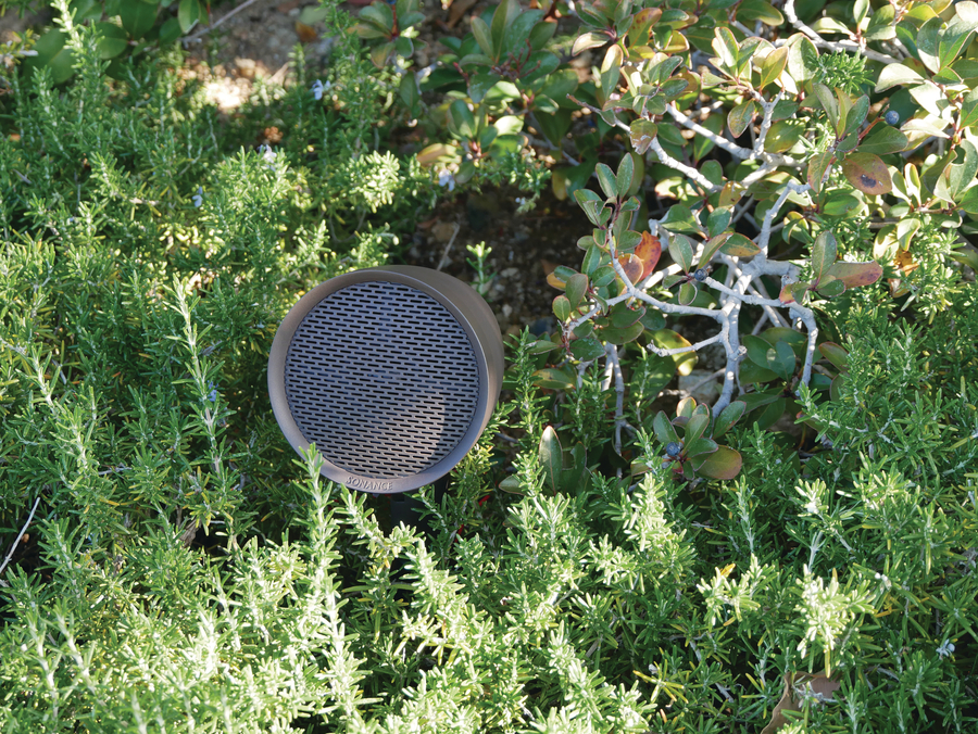 A Sonance outdoor audio speaker nestled in the landscape of a Lake George home.