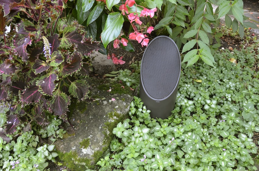 An outdoor speaker hidden among foliage.